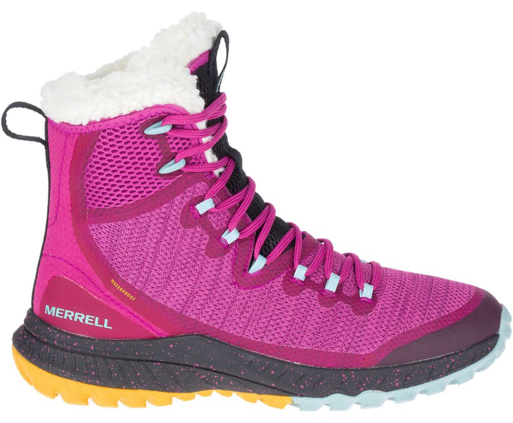 Merrell Støvler Dame - Bravada Knit Polar Waterproof - Lyserød - ZOW304682